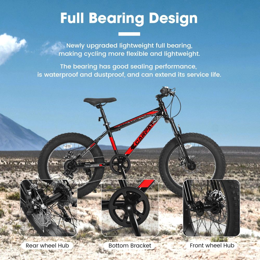 Sepeda Gunung Anak Remaja 20 I - Mountain Biking Kids ulasan dan harga