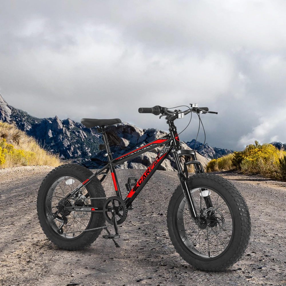 Sepeda Gunung Anak Remaja 20 I - Mountain Biking Kids ulasan dan harga