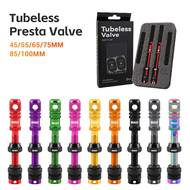 Katup Presta Tubeless Sepeda A - Mountain Biking In French ulasan dan harga